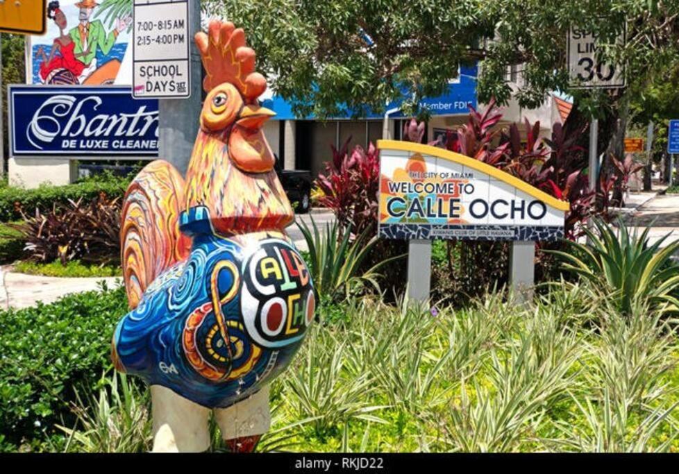 Intimate Casita Mia Minutes Away From Airport, Calle 8, Brickell, Coral Gables, The Beach And More! Miami Bagian luar foto